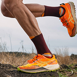 Asics Fuji Lite 4
