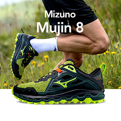 Mizuno Mujin 8