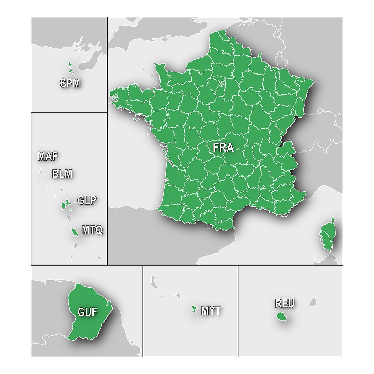 Garmin Topo France Entière SD V6 Vert 