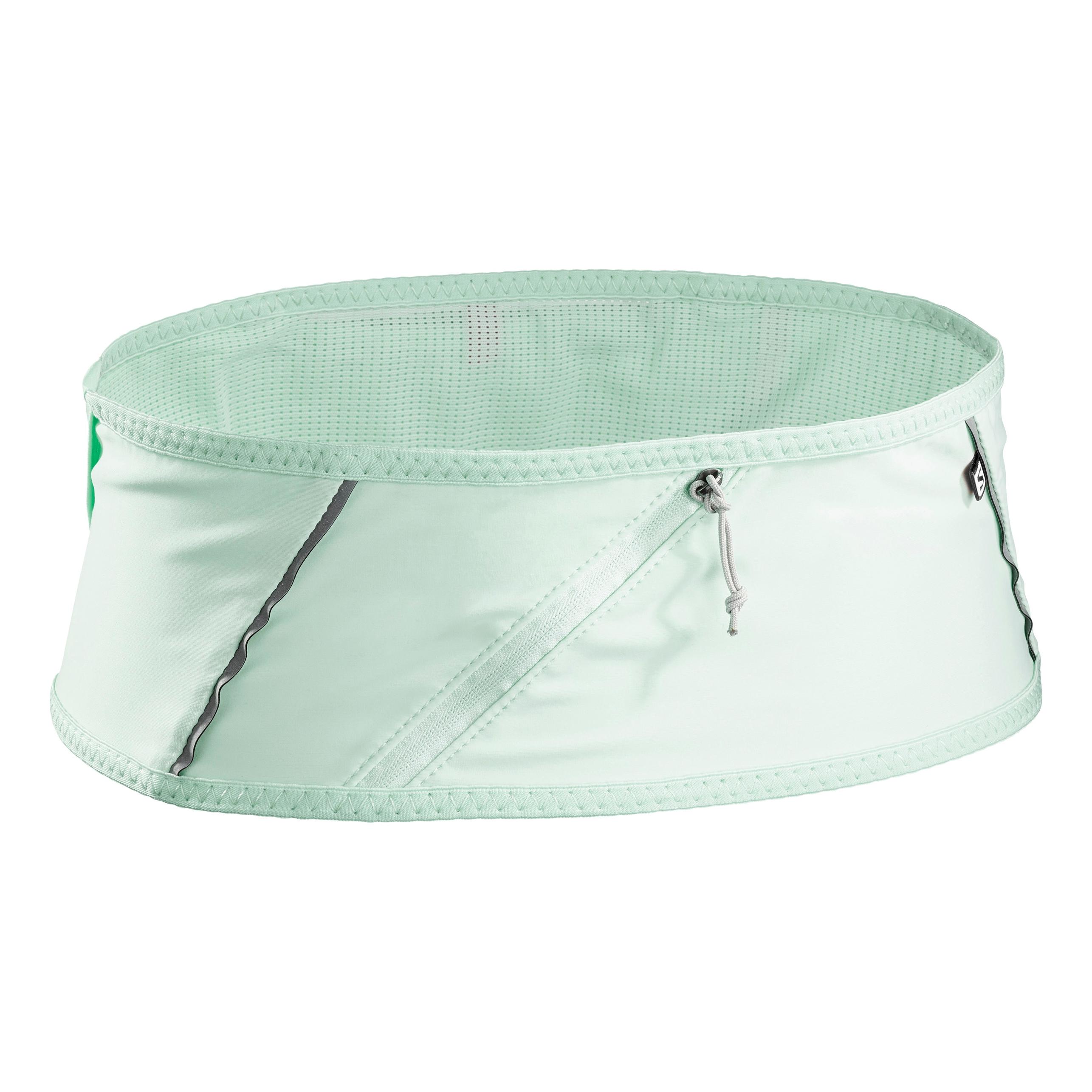 Salomon Pulse Belt Vert pastel XL 