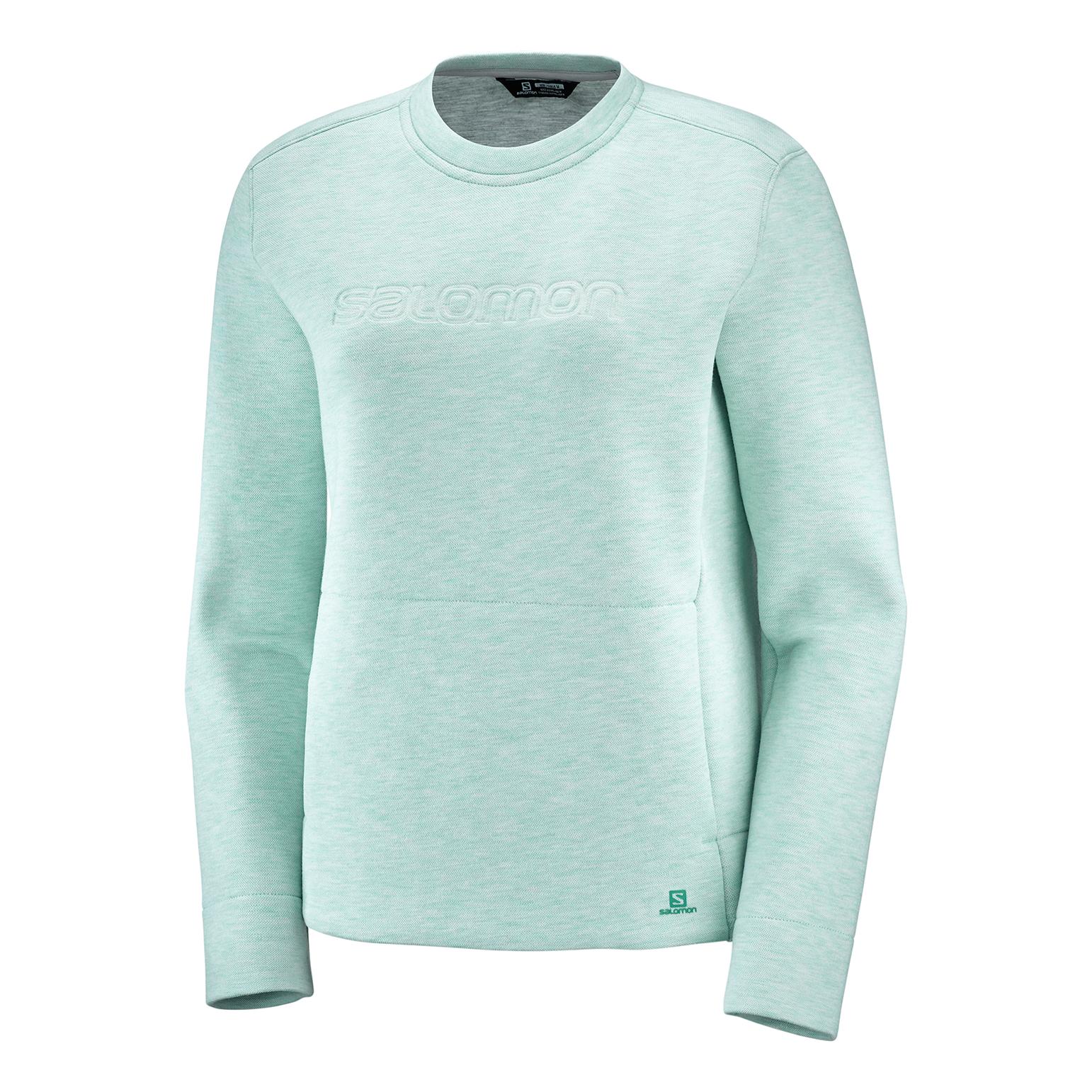 Salomon Sight Crew Neck Pull Vert d'eau L 