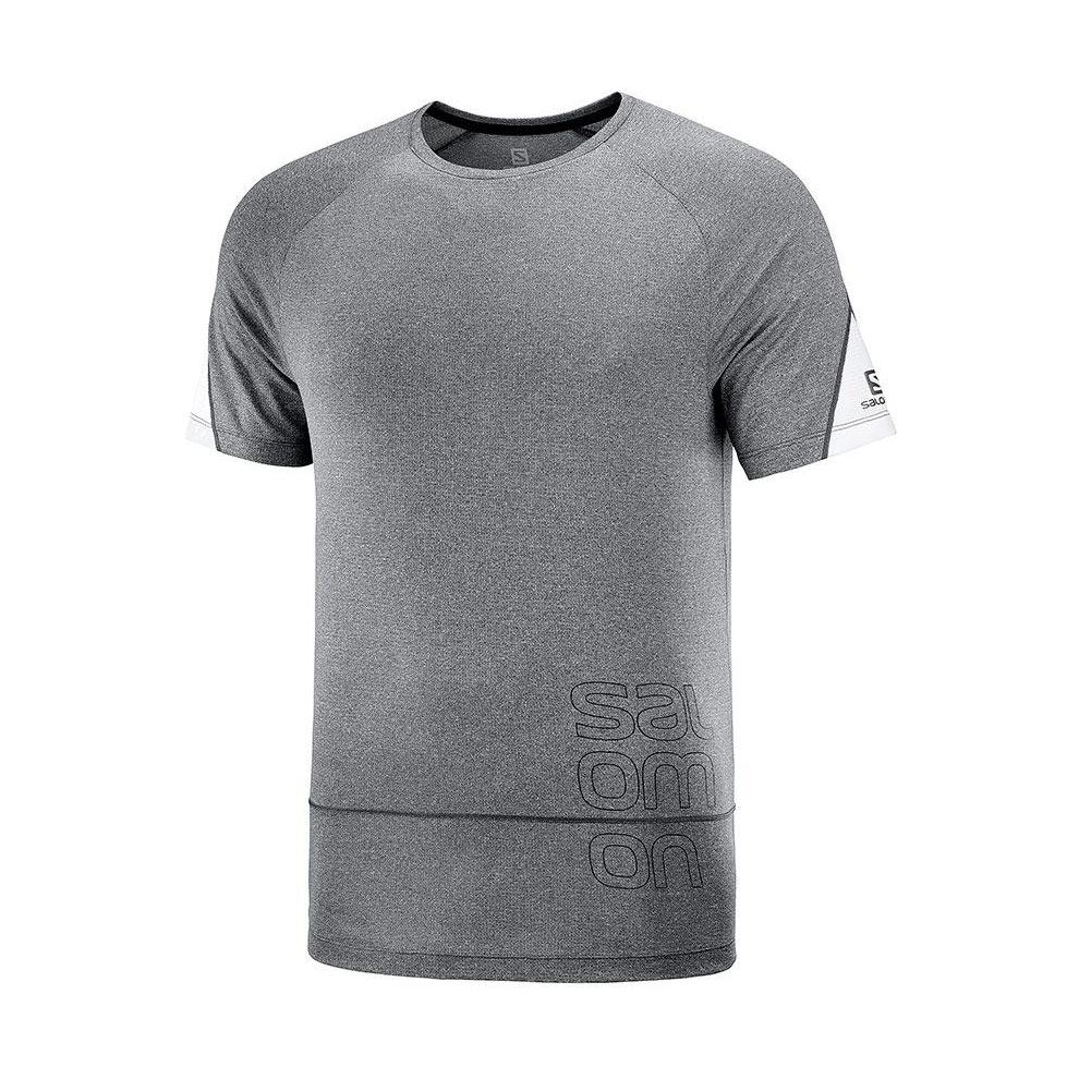 Salomon T-Shirt Cross Run Graphic Tee Gris S
