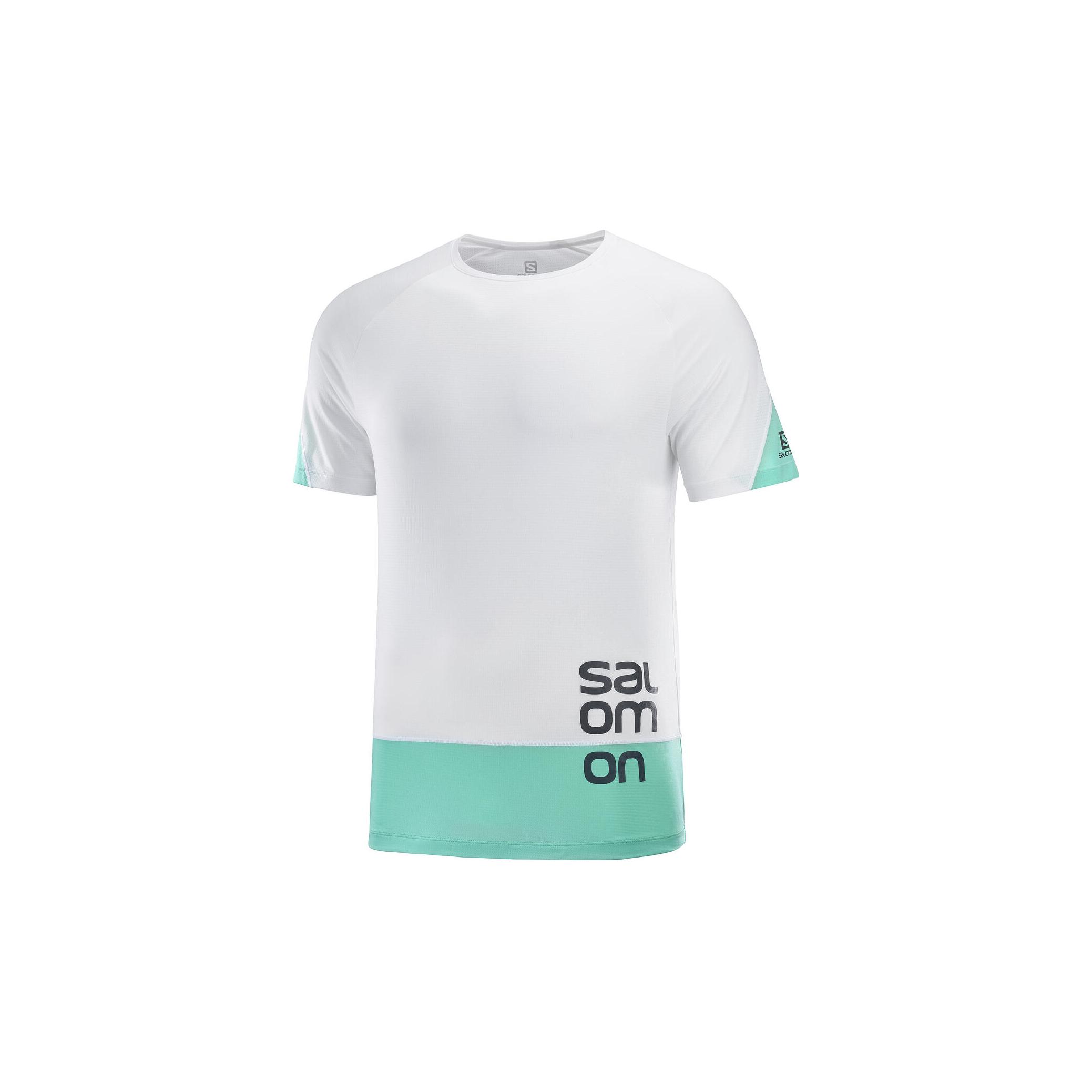 Salomon T-Shirt Cross Run Graphic Tee Blanc S