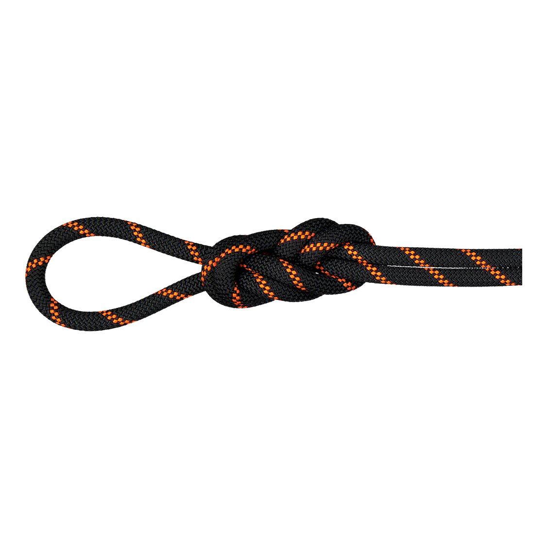 Mammut 8.7 Alpine Sender Dry Rope Marron 