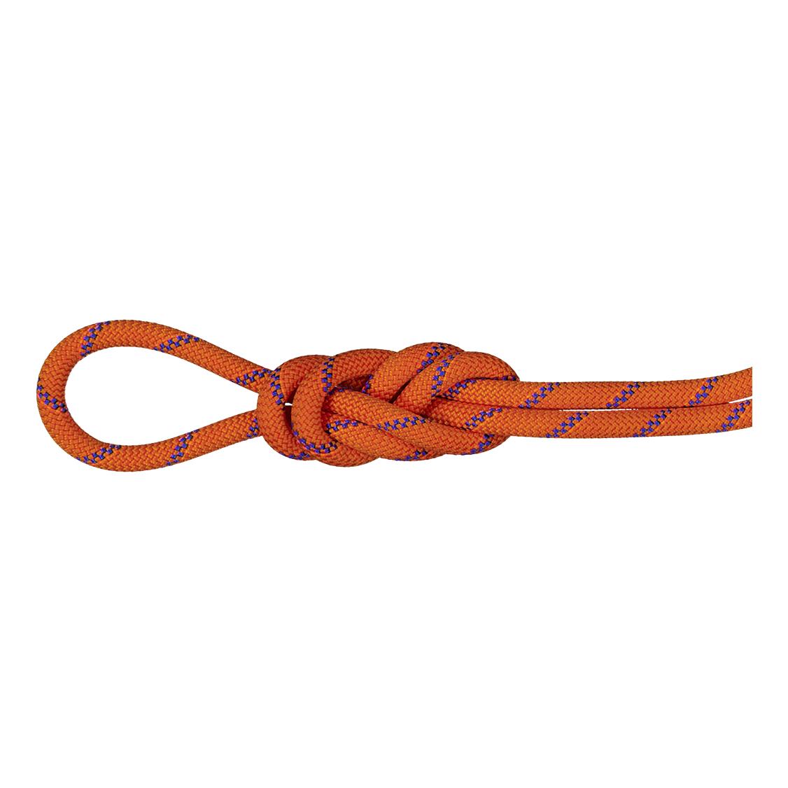 Mammut 9.0 Alpine Sender Dry Rope Orange 