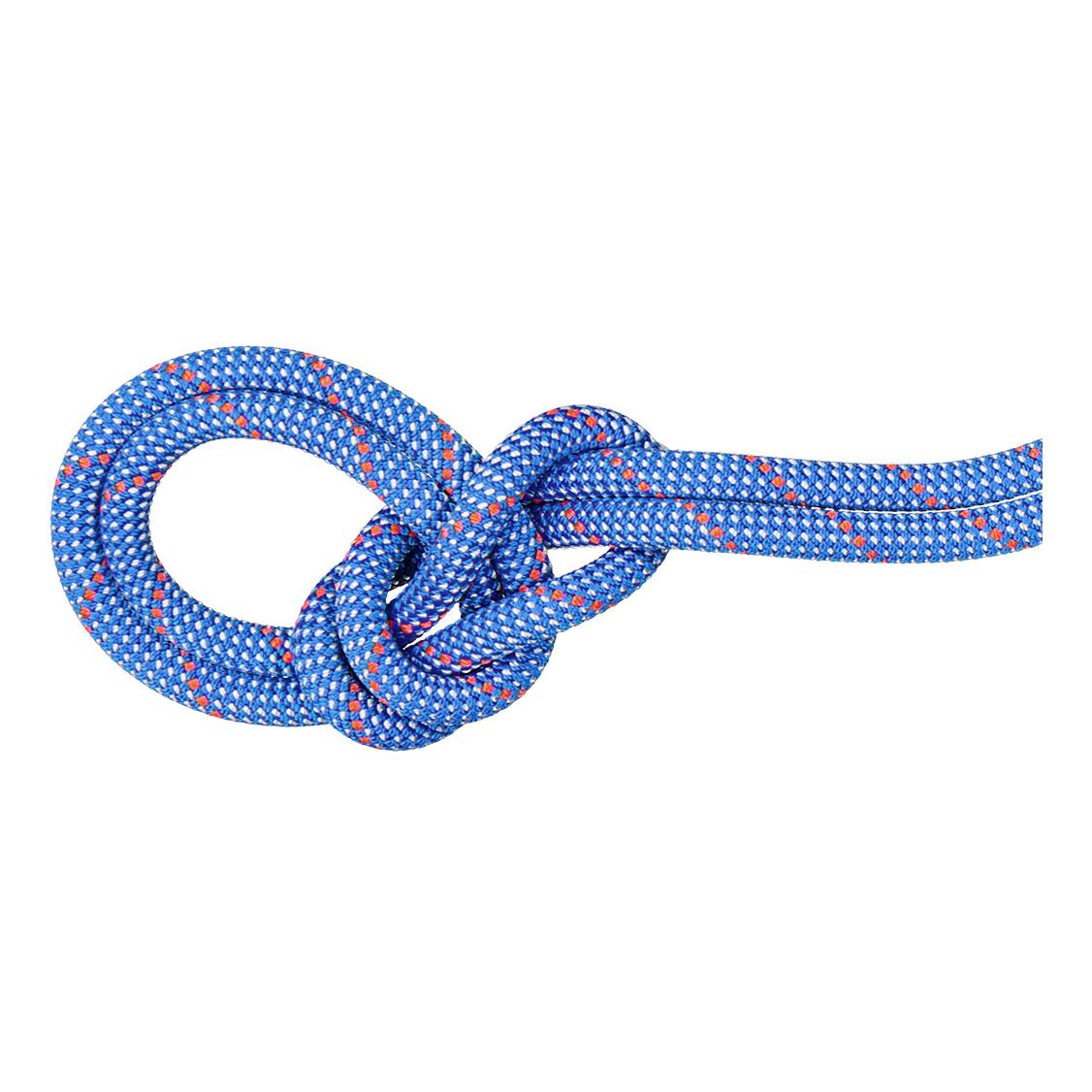 Mammut 9.5 Crag Classic Rope Bleu ciel 
