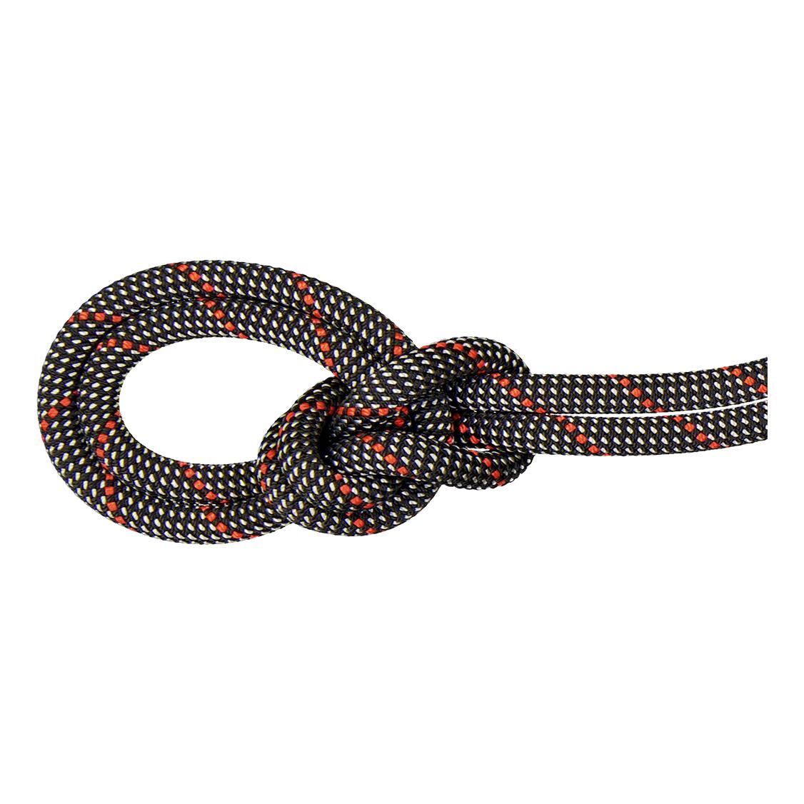 Mammut 9.8 Crag Classic Rope Gris 