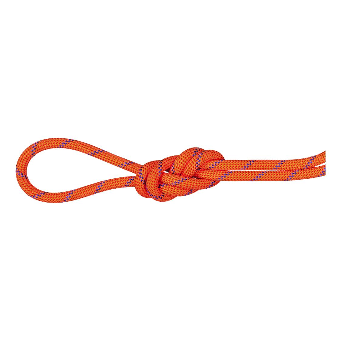 Mammut 7.5 Alpine Sender Dry Rope Orange 