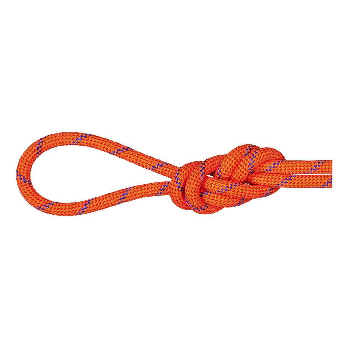 Mammut 7.5 Alpine Sender Dry Rope Orange 