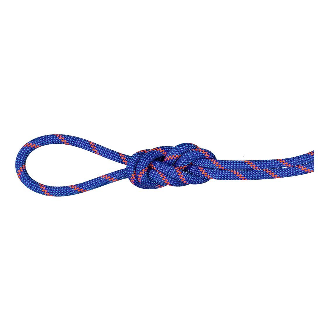 Mammut 7.5 Alpine Sender Dry Rope Bleu 