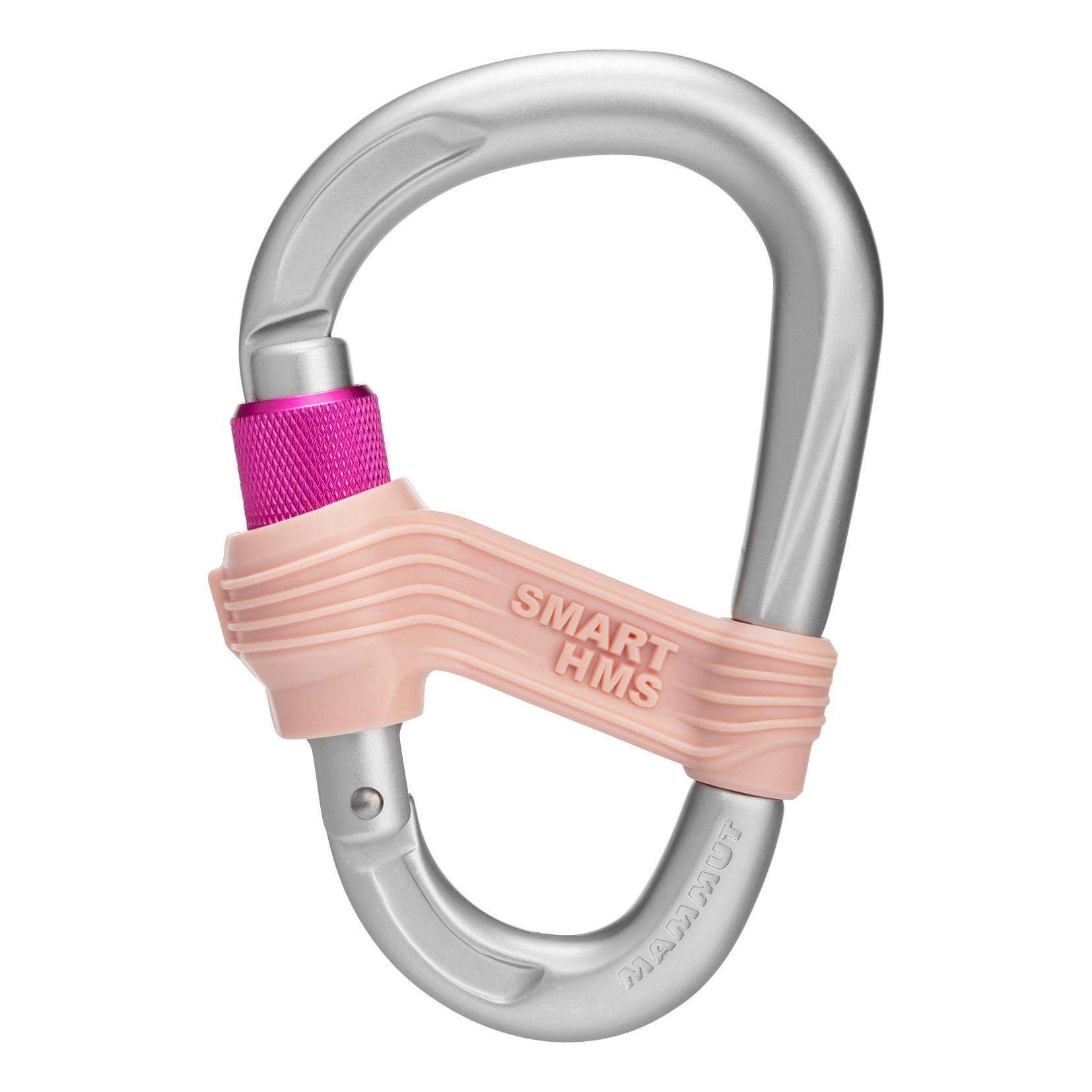 Mammut Smart HMS Gris clair 