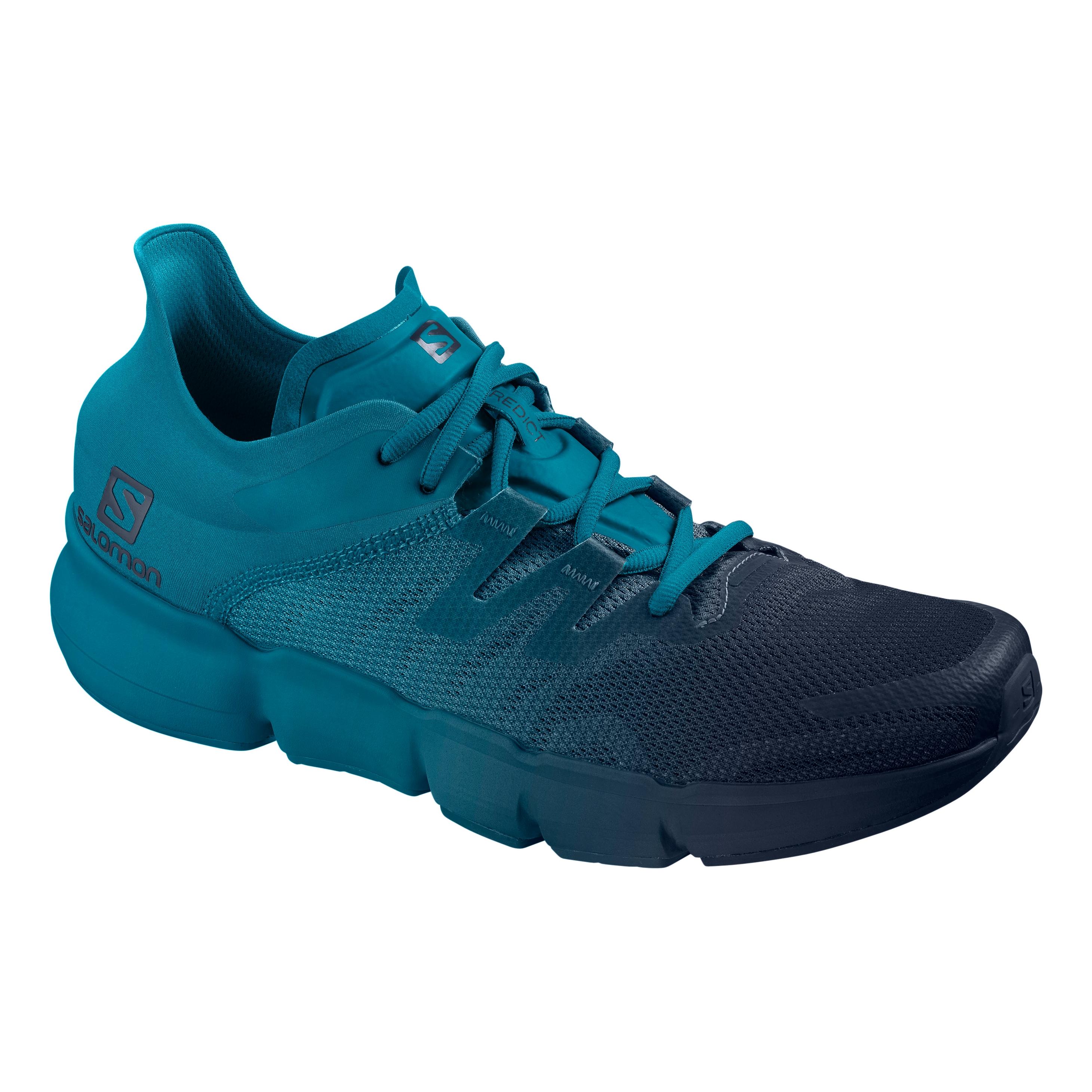 salomon ra predict