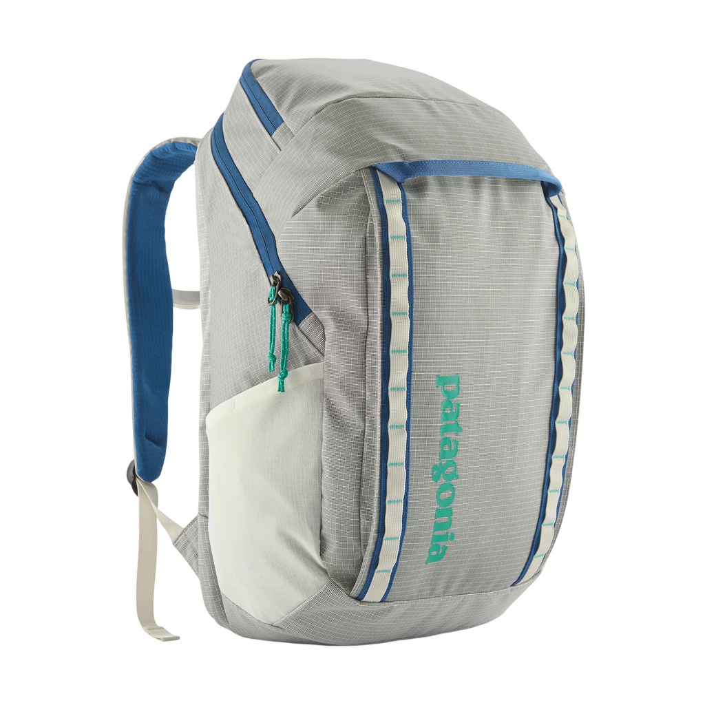 Patagonia Beige Black Hole Pack 32L
