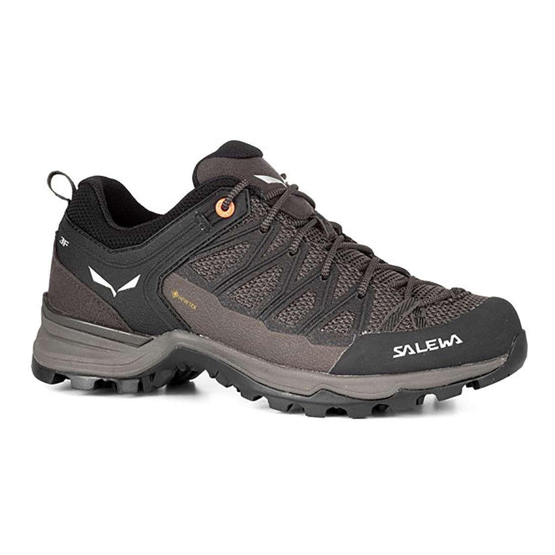 Salewa Mountain Trainer Lite Gore-Tex Gris 39 