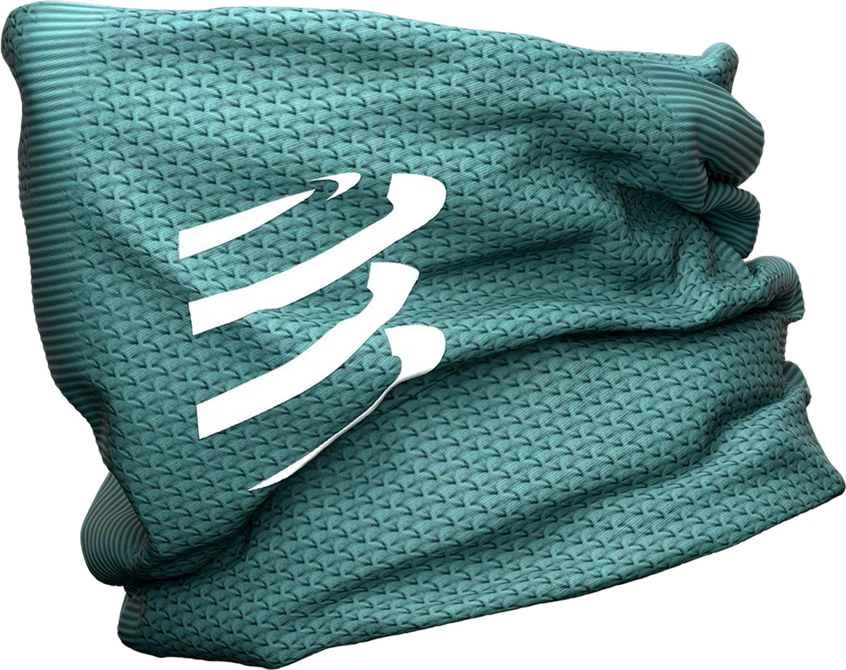 Compressport 3D Thermo Ultralight Headtube Vert