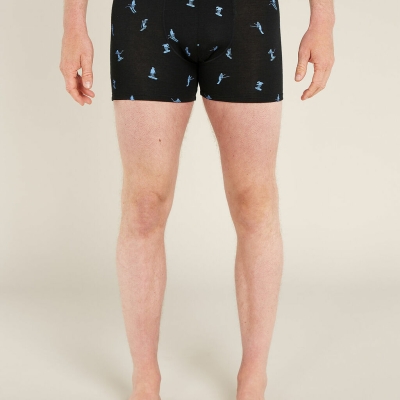 Icebreaker Merino 150 Anatomica Boxers Ski Day Men Black