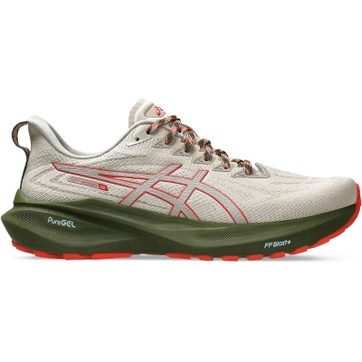Asics GT-2000 13 Nature Bathing Homme 
