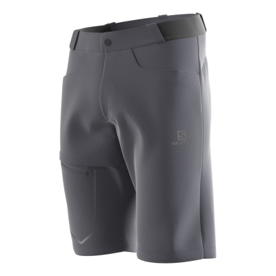 Salomon Wayfarer Short Homme