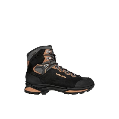 Lowa Camino Evo Gore-Tex Homme Noir
