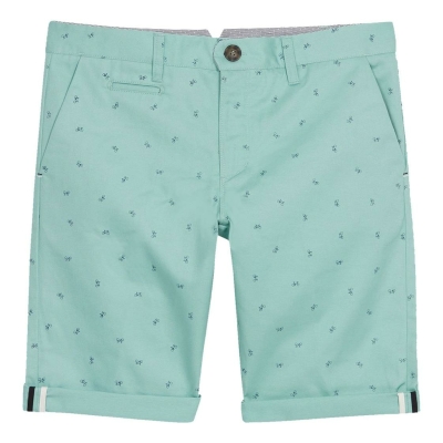 Faguo Saulieu Mannen Pastel groen