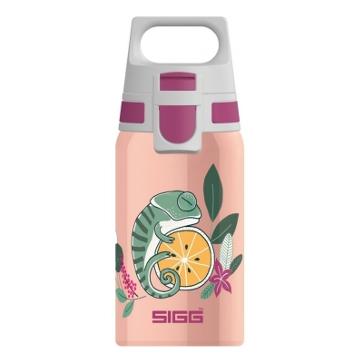 Sigg Shield One Flora Lachs