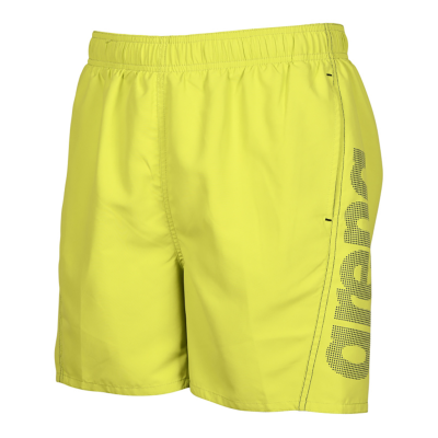Arena Fundamentals Logo Boxer Men 