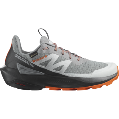 Salomon Elixir Activ Gore-Tex Homme Gris