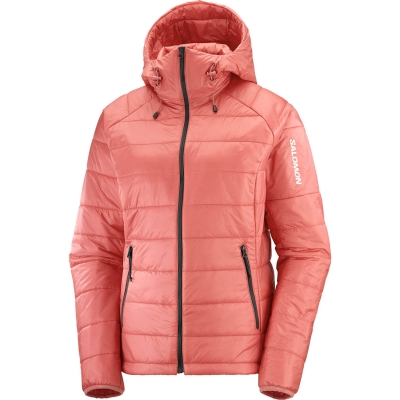 Salomon Outline Hooded Frau Rose