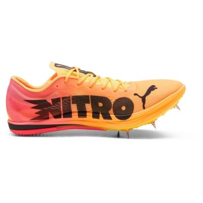 Puma Evospeed Long Distance Nitro Elite 2 Uomo Arancione