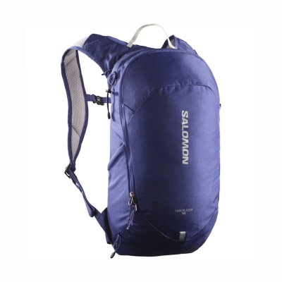 Salomon Trailblazer 10 Bleu