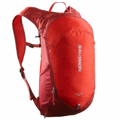 Salomon Trailblazer 10 