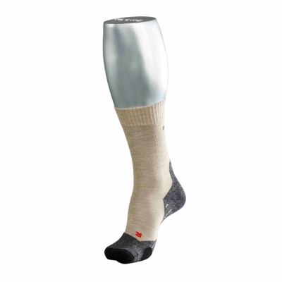 Falke TK2 Femenino Arena