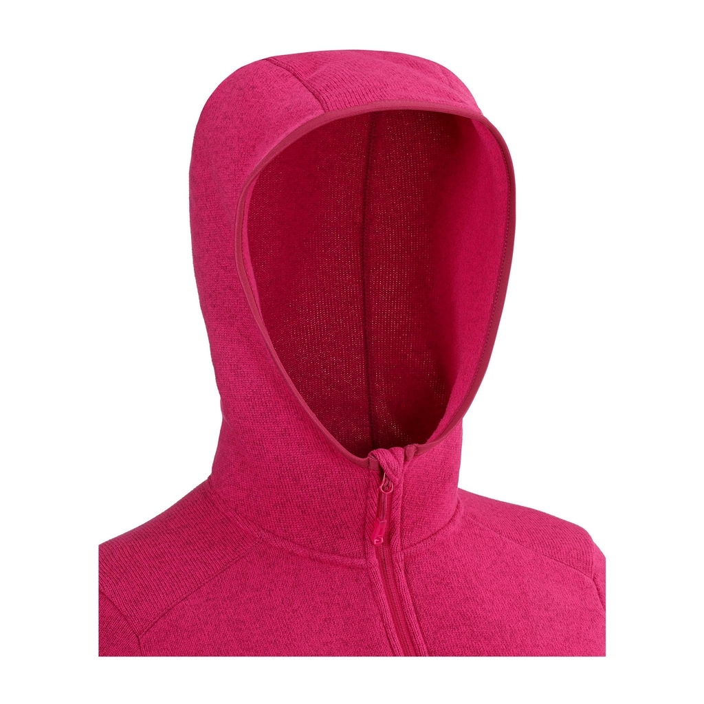Salomon bise hoodie cheap