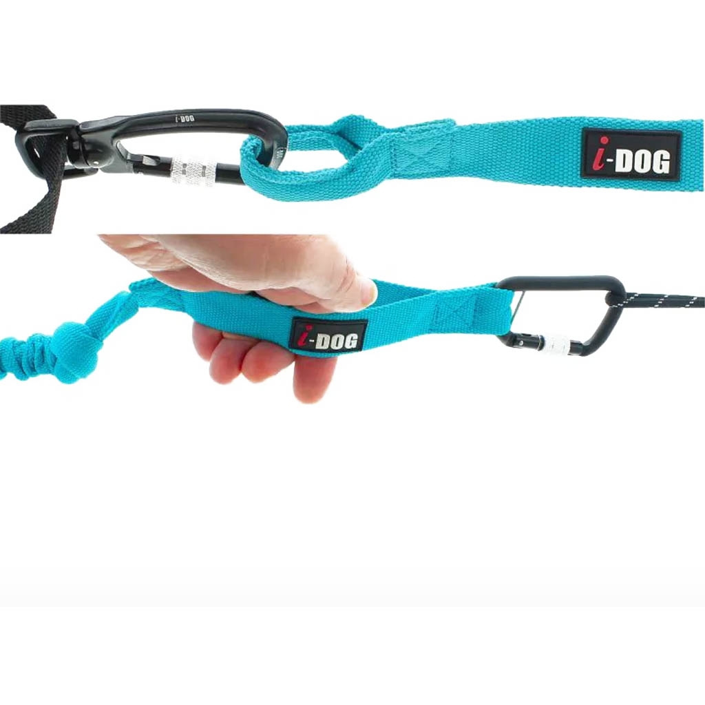 I-Dog Longe Opale Long Dog ALM Strong Turquoise Lepape