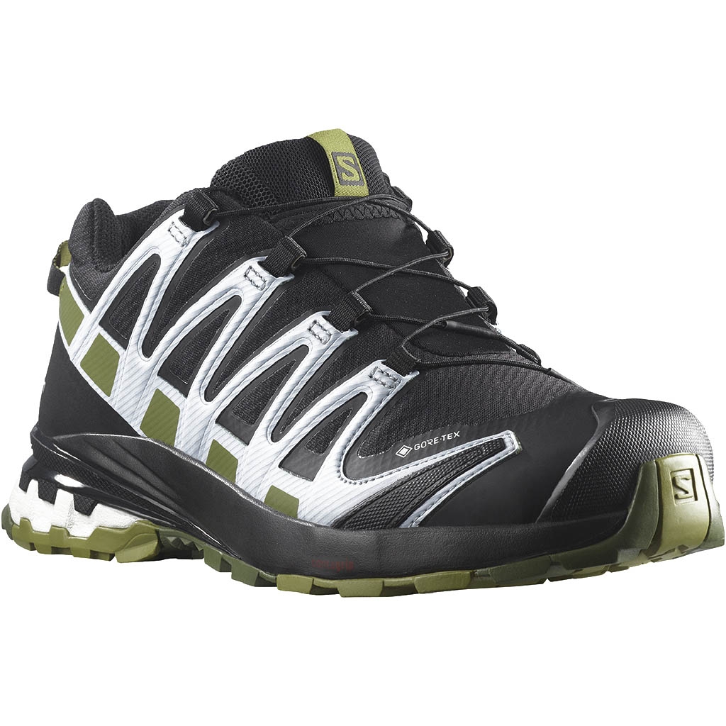 Salomon XA Pro 3D V8 Gore Tex Papa