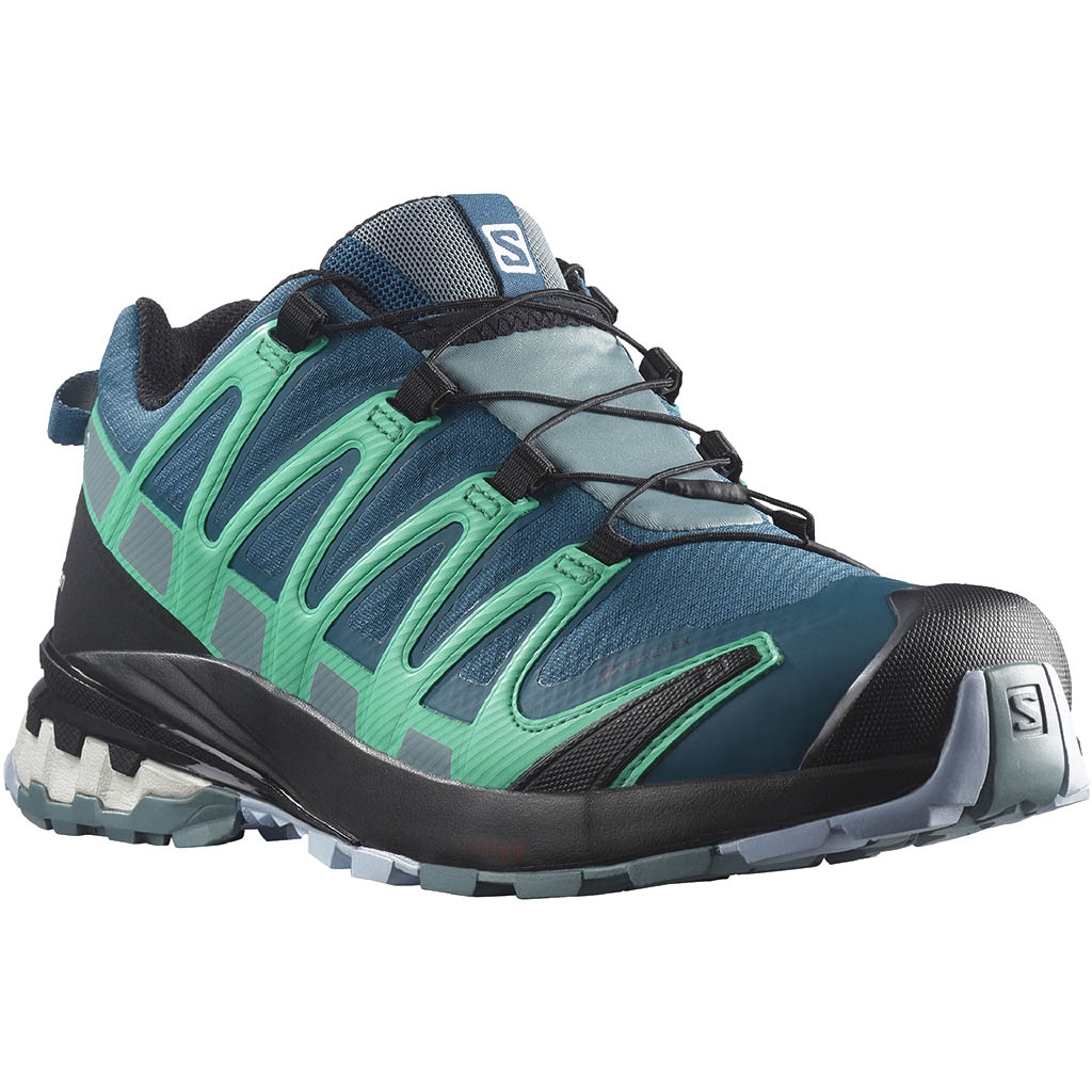 Salomon XA Pro 3D V8 Gore Tex Legion Blue.Trooper.Mint Leaf Lepape