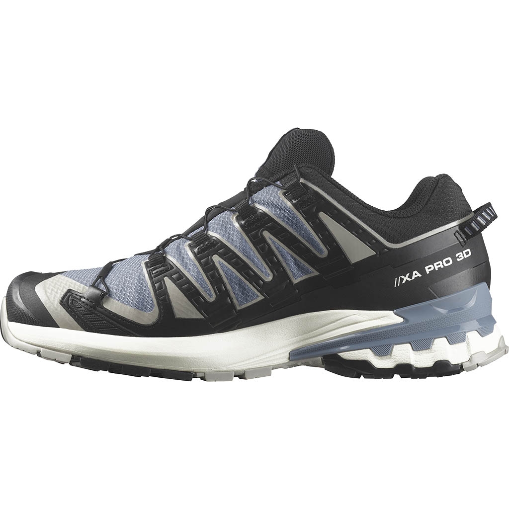 Salomon Xa Pro 3D V9 Gore-Tex Flint Stone. Black. Ghost Gray | Pope