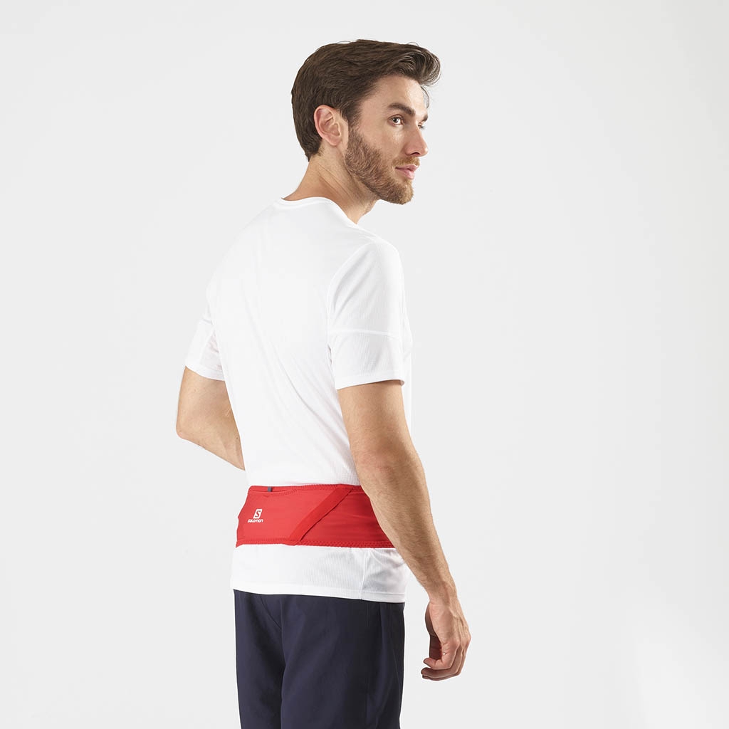 Salomon Pulse Belt Goji Berry Lepape