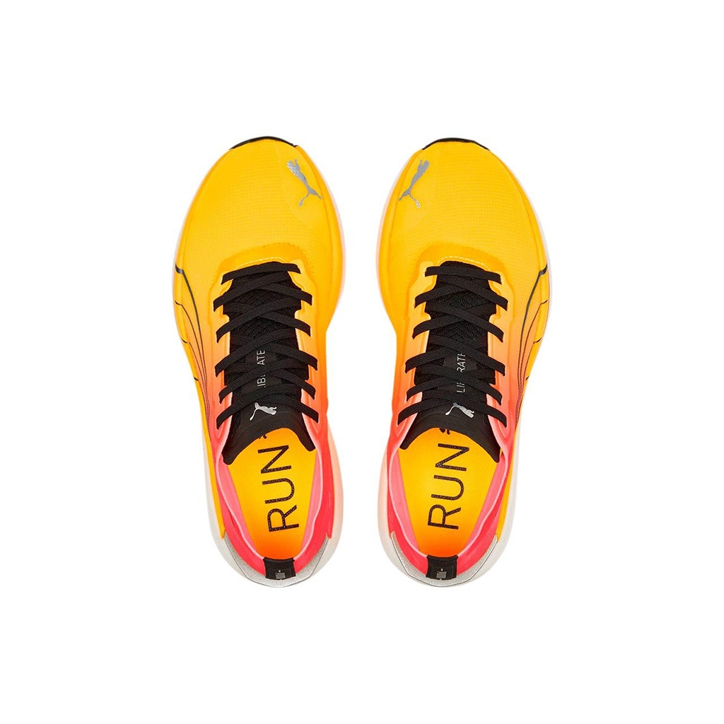 Abbigliamento cani puma clearance