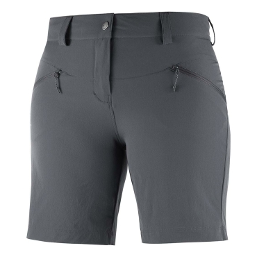 Salomon wayfarer lt 2025