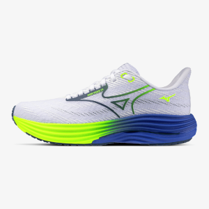 Mizuno Wave Rider 29 Homme 
