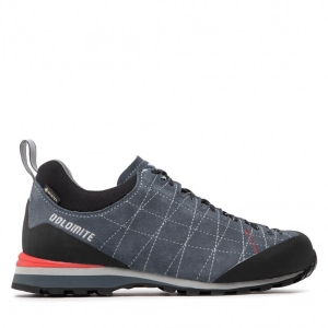 Dolomite Diagonal Gore-Tex Mannen Grijs