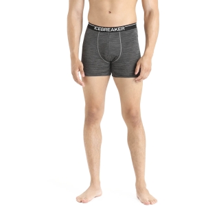 Icebreaker Anatomica Boxers Homme Gris