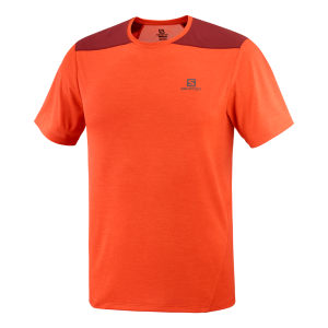 Salomon Outline Short Sleeve Tee Homme