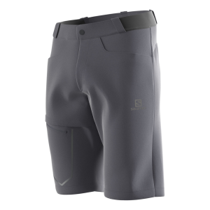 Salomon Wayfarer Short Mannen