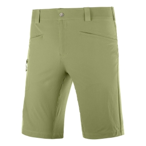 Salomon Wayfarer Short Masculino Cáqui