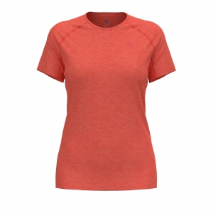 Odlo T-Shirt Manches Courtes X-Alp Pw 115 Femminile Rosso