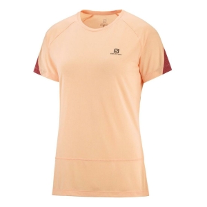 Salomon T-Shirt Cross Run Short Sleeve Vrouw Beige