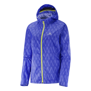 Salomon Fast Wing Graphic Hoody Man 