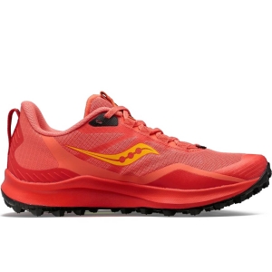 SAUCONY PEREGRINE 12 - LePape